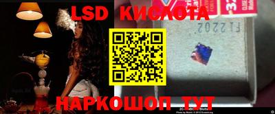 эйфоретик Славгород