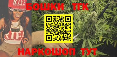 шишки Сланцы