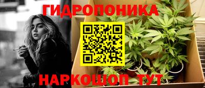 шишки Сланцы