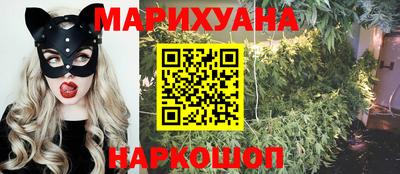 шишки Сланцы
